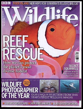 bbc_wildlife_magazine